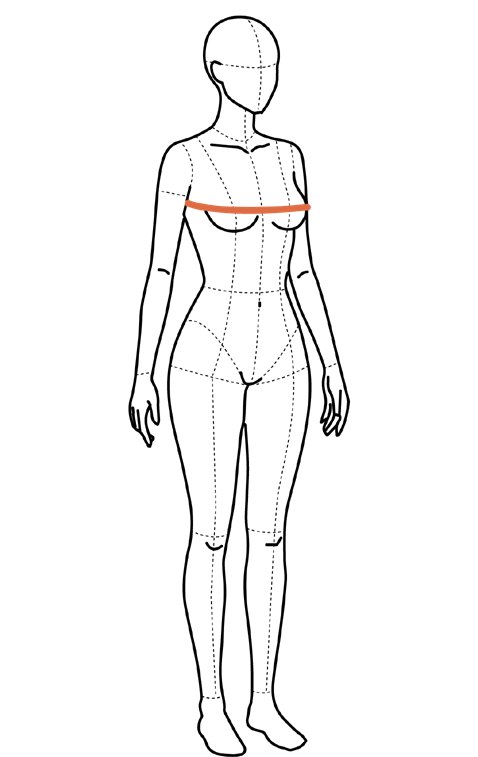Ilustração do corpo com a linha do busto marcada em laranja, na horizontal, passando pela parte mais saliente