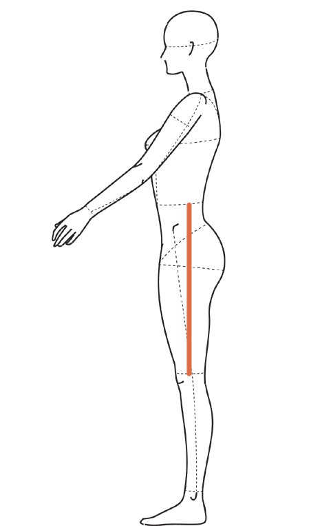 Ilustração de perfil com linha vertical da cintura até o joelho