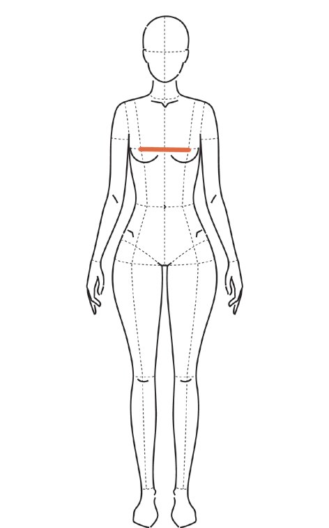 Ilustração de frente com linha horizontal curta entre os pontos mais altos do busto