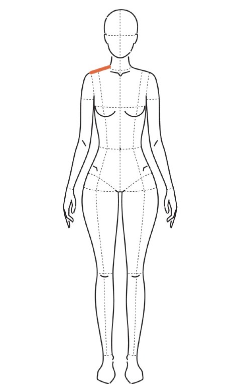 Ilustração com linha sobre um ombro, do início junto ao pescoço até o acrômio