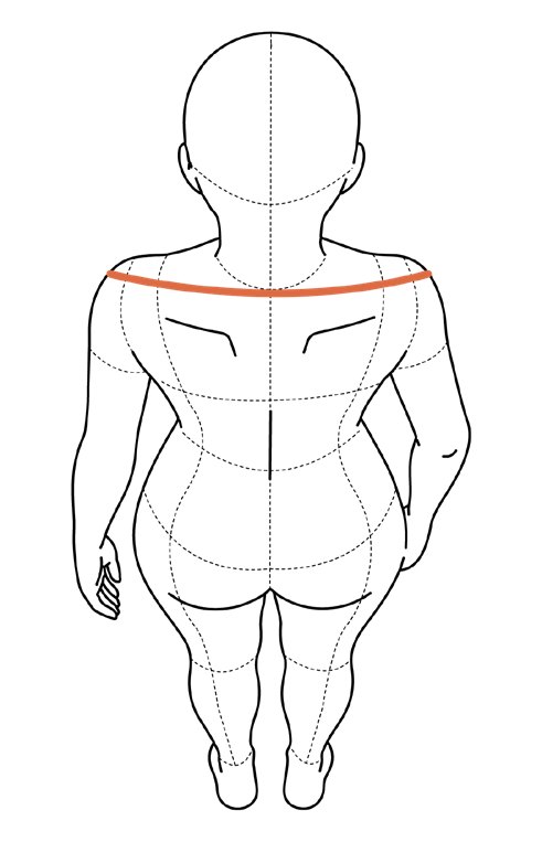Ilustração aproximada de costas com linha ligando os dois pontos de ombro