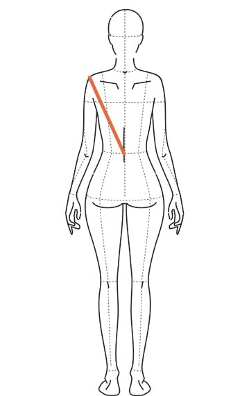 Ilustração de costas com linha diagonal na largura das costas, entre as cavas