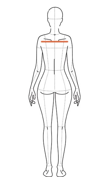 Ilustração de costas com linha horizontal curta entre as cavas