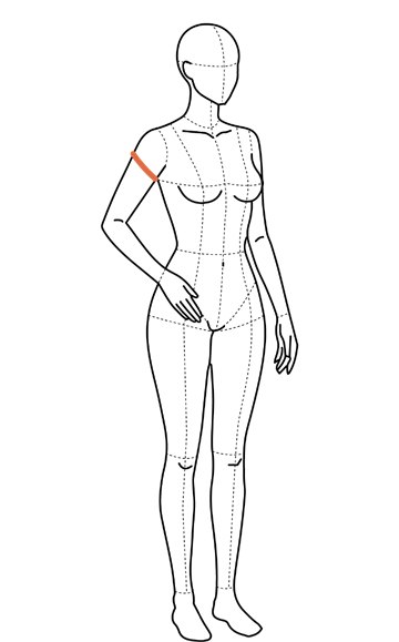 Ilustração com linha ao redor da parte mais cheia do braço