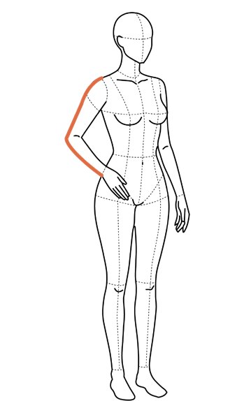 Ilustração com linha ao longo do braço, do ombro ao punho passando pelo cotovelo