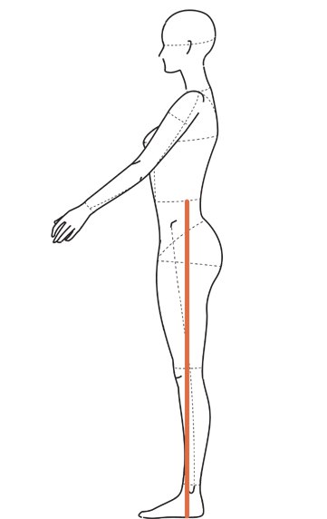 Ilustração de perfil com linha vertical da cintura marcada até o chão