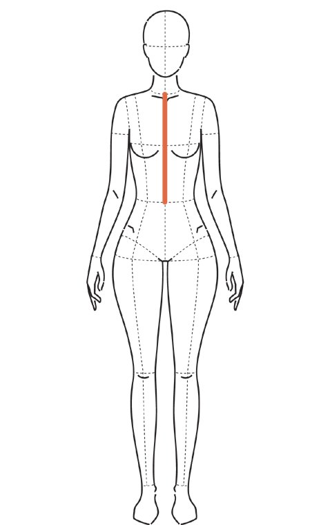 Ilustração de frente com linha vertical do centro do corpo, da base do pescoço até a cintura