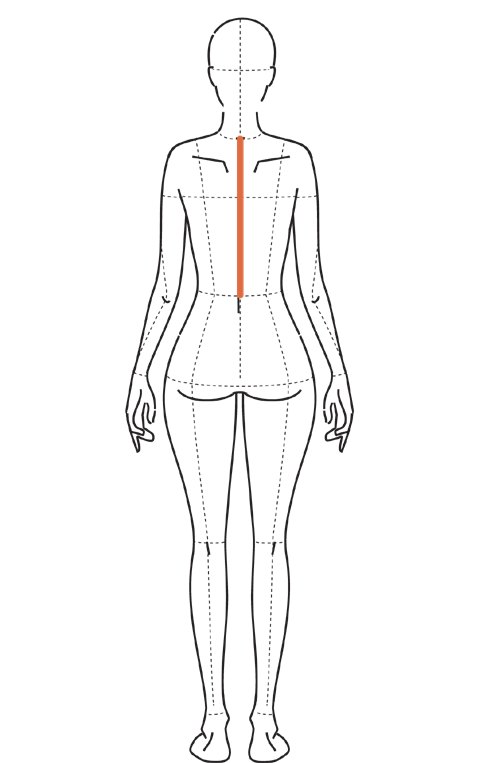 Ilustração de costas com linha vertical do centro das costas, da sétima cervical até a cintura